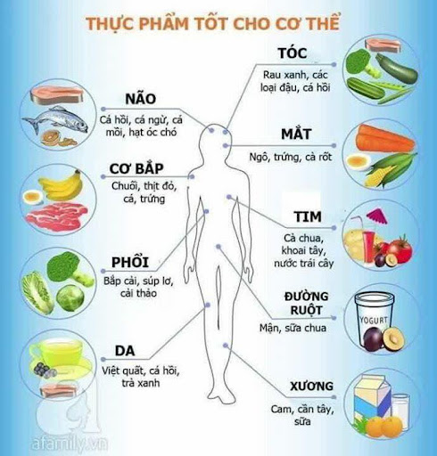 THẢI ĐỘC CƠ THỂ TOÀN DIỆN